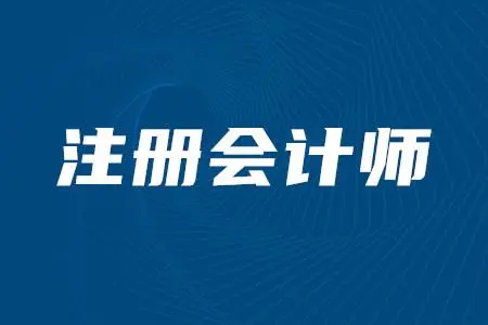 關于印發(fā)《中國注冊會計師審計準則第1601號—審